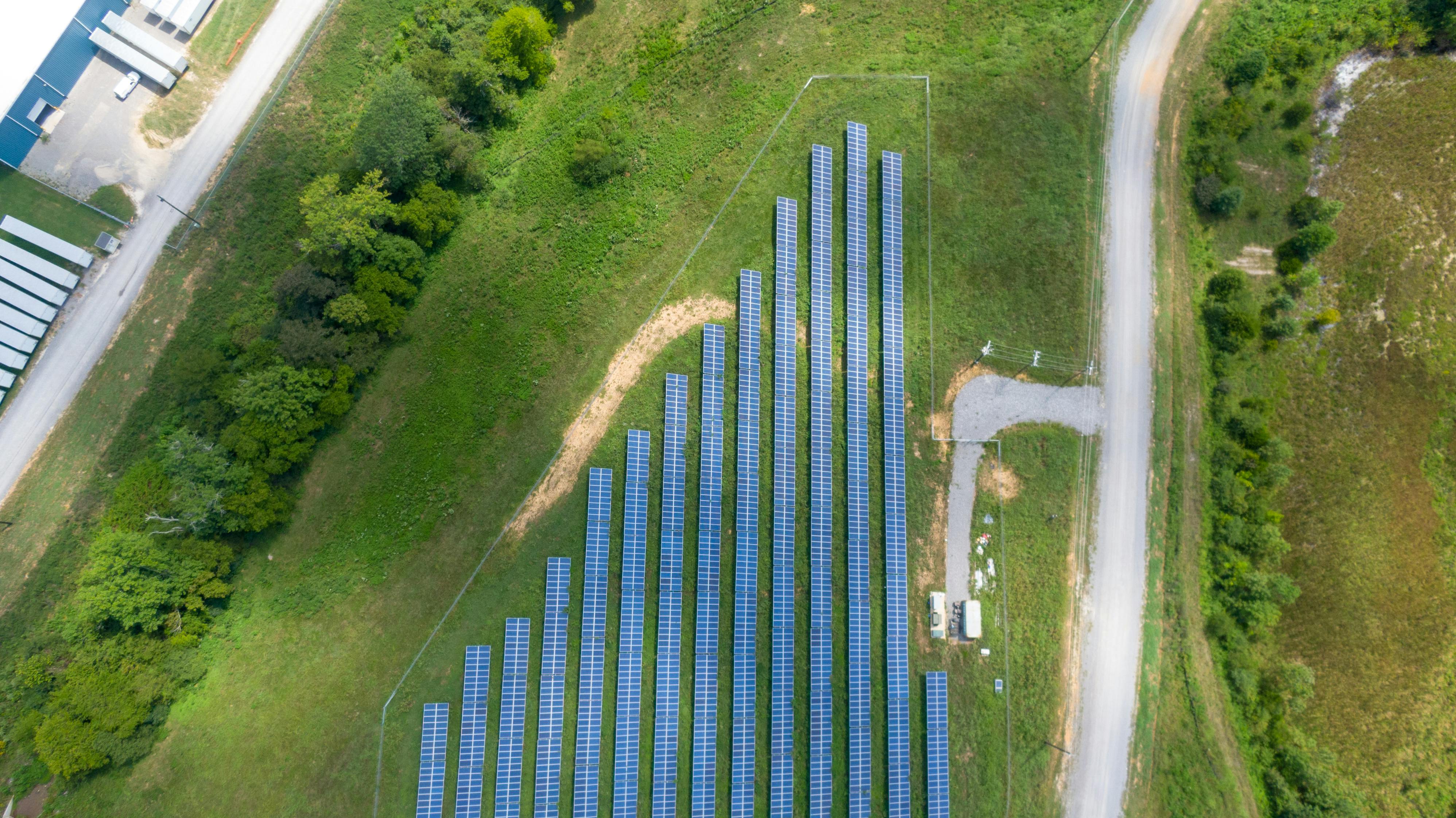SFSC project photo